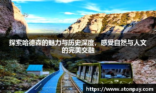 三亿体育网站